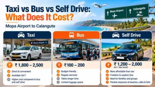 Taxi vs bus vs self drive_ what does it cost_